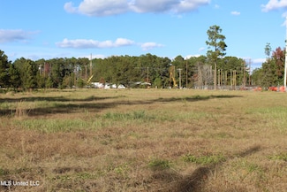 3.5 Acres Scott Rd, Lucedale, MS 39452
