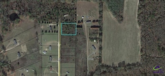 Lot 11 Sydney Ln, Montezuma, GA 31063