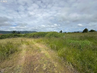 1 Springer St, Puget Island, WA 98612