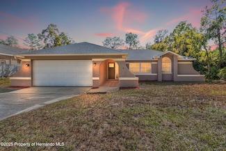 11348 Fool Duck Ave, Weeki Wachee, FL 34613