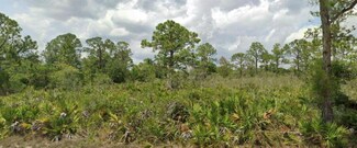 246 Cardinal Ave, Sebring, FL 33870