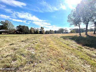 4771 W Oak Grove Rd, Hernando, MS 38632