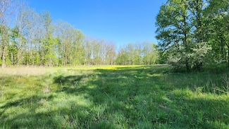 8238 Thornapple Lake Rd, Nashville, MI 49073