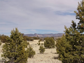 / Barrego Dr Unit 10, Datil, NM 87821