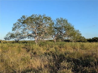 0 0 Unit 450149, San Diego, TX 78384