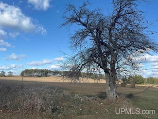 0 31 75 Rd Unit 50194744, Carney, MI 49812