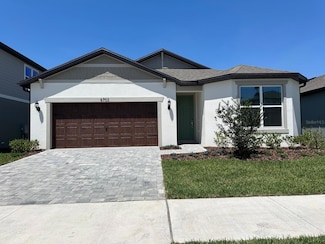 6703 Michael Favor Way, Wesley Chapel, FL 33545