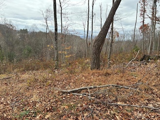 TBD Fill St, Claypool Hill, VA 24637