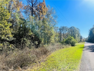 17 Roebuck Landing Rd, Akron, AL 35441
