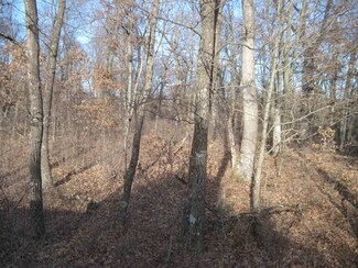 L2 13th Dr, Adams, WI 53910