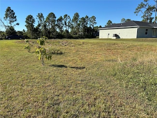 12162 van Loon Ave, Port Charlotte, FL 33981