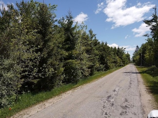 Lot 2 E West Resort Rd, Alanson, MI 49706
