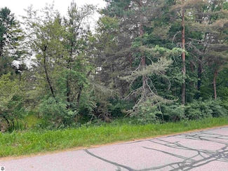 1018 Lincoln Dr Unit 285, Lake Isabella, MI 48893