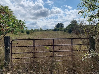 LOT(S) 1 & 2 Bailey Settlement Rd, Alex Bay, NY 13607