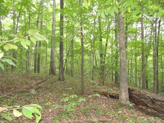 0 Cheyenne Dr Unit RTC2739510, Jamestown, TN 38556