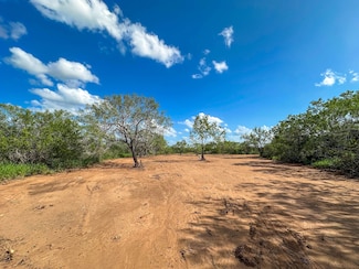 5850 County Road 422, Pleasanton, TX 78064