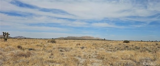 0 120th St E Avenue P-8 Unit SR25104008, Palmdale, CA 93591