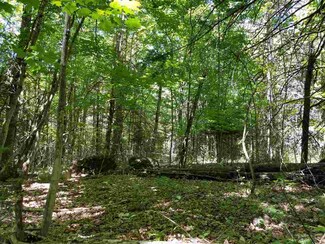 0 Burke Green Rd Unit 4694842, Burke, VT 05832