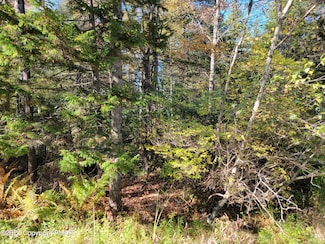 LOT 18& 19 Louis Ln, Lehigh Township, PA 18424