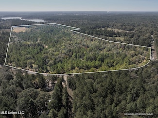 91 Acres Burge & Reyer, Poplarville, MS 39470