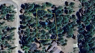 11 County Road 2191 -- Unit 44, Alpine, AZ 85920