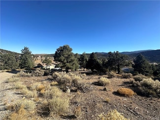 0 Pelican Dr Unit 32405961, Big Bear City, CA 92314