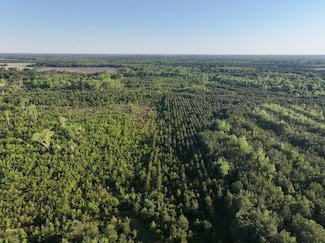 5517 Bulltown Rd, La Grange, NC 28551