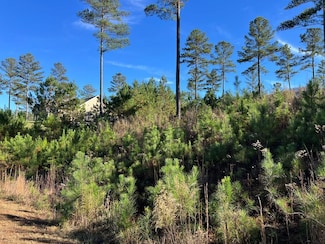 Lot 313 the Cove @ 1300, Blairsville, GA 30512
