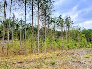 0 Old Washington Unit 24032589, Washington, AR 71862