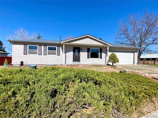 11032 Albion Dr, Thornton, CO 80233