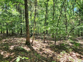 53 Hills Hollow Rd, Murray, KY 42071