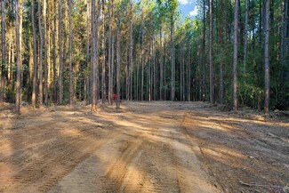 Lot 17 & 18 Louisiana 449, Pine Grove, LA 70453