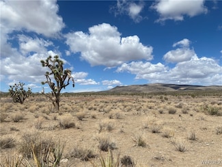 327-06-017 Palm Dr, Dolan Springs, AZ 86441