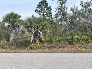 310 Halloran St, Port Charlotte, FL 33953