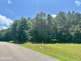 00 Moonshine Loop, Huron, TN 38345