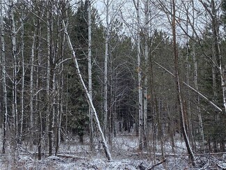 On Sorenson Rd, Port Wing, WI 54865