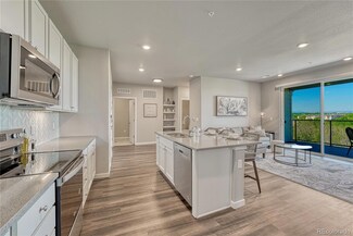 9291 Twenty Mile Rd Unit 408, Parker, CO 80134