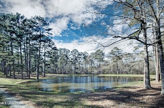 188 Webb Ln, Flowood, MS 39232