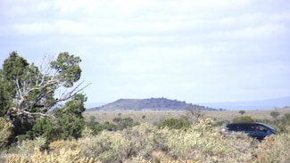 4620 S First Ave, Valle, AZ 86046