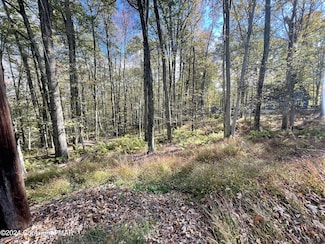 0 Mountain Ash Ln, Bear Creek Township, PA 18661