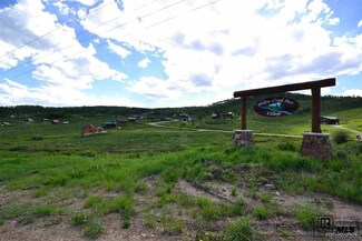 57730 Brown Ln, Clark, CO 80428
