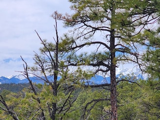 Tbd Cimarron Ranch 33-32-67 Swsw, Weston, CO 81082