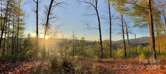 60 Longview Ct Unit 3, Marshall, NC 28753