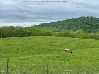 74 Long Meadow Ln, Worthington, WV 26591