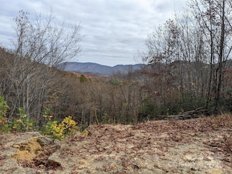 171 Nuthatch Ln Unit C-30, Black Mountain, NC 28711