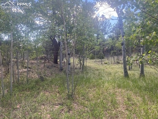 94 & 146 County Road 403, Florissant, CO 80816