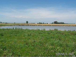 651 Hailie St, Saint Libory, IL 62282