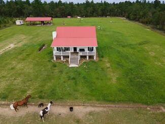 169 Carpenter Rd, Rupert, GA 31081