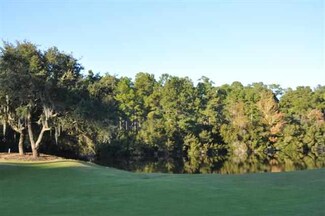 Lot 6 Collins Meadow Dr Unit DeBordieu Colony Gol, Georgetown, SC 29440