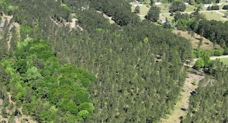 0 Wyman (Lot 7) St Unit 24019114, Eutawville, SC 29048